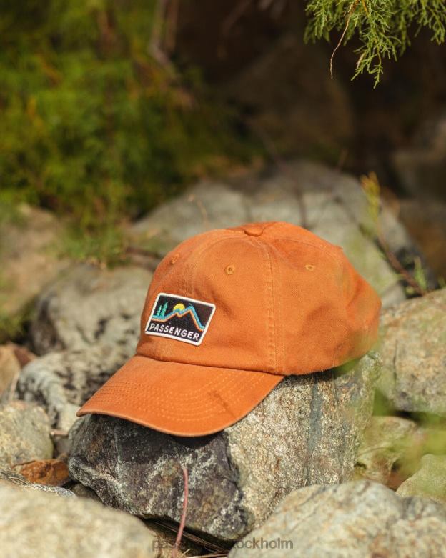 Passenger tristate återvunnen bomull snapback cap glaserad ingefära D422J456 glaserad ingefära