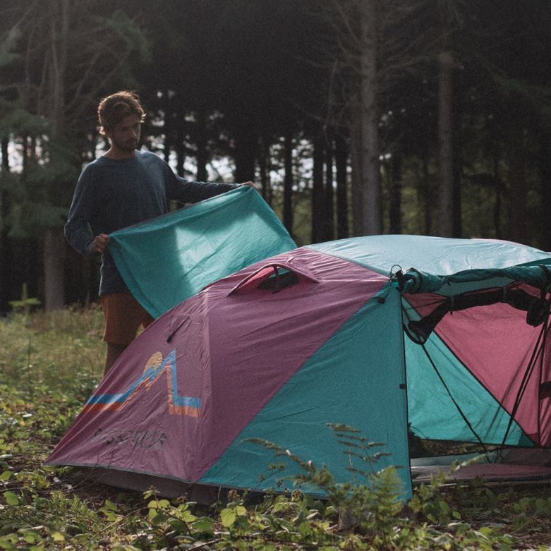 Passenger håll dig jordad 2 personerstält virdian green/orchid D422J605 virdian green/orkidé