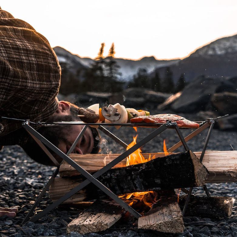 Passenger varg och grizzly grill (med elduppsättning) rostfritt stål D422J606 rostfritt stål